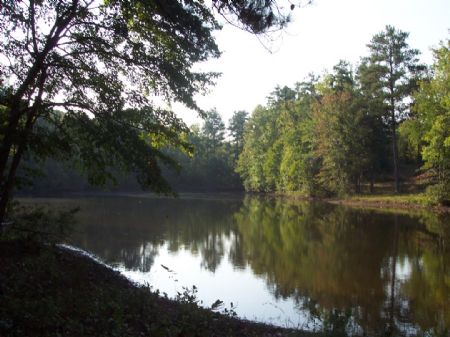 340+/- Wooded Ac W/ Pond Bank Owned : Dallas : Paulding County : Georgia