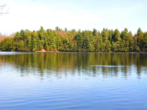 4 Lake Cabins On Adirondack Lake : Pitcairn : Saint Lawrence County : New York