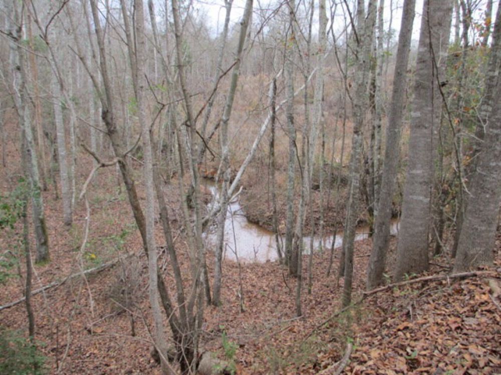 100+/- Ac Of Great Commercial Land : Brundidge : Pike County : Alabama