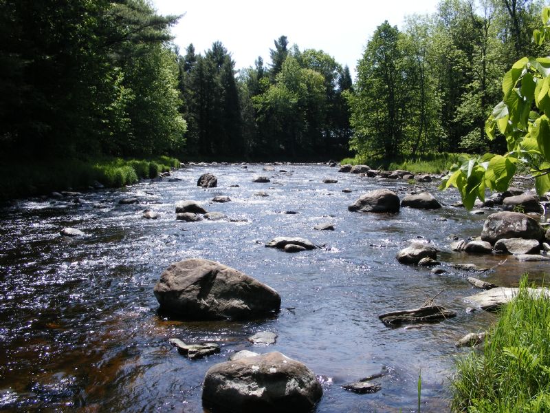 338 Acres Amazing River Frontage : Brasher : Saint Lawrence County : New York