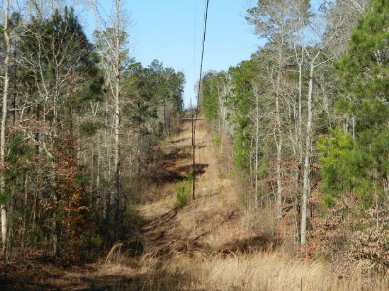 160+/- Acres Investment Timberland : Alexander City : Tallapoosa County : Alabama