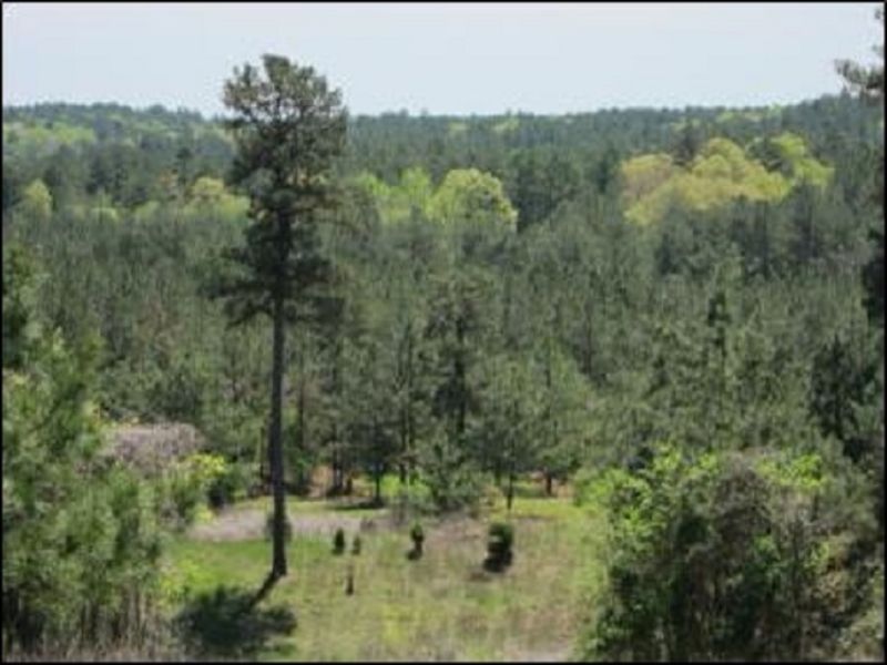 561.3 Acres : Holly Springs : Marshall County : Mississippi