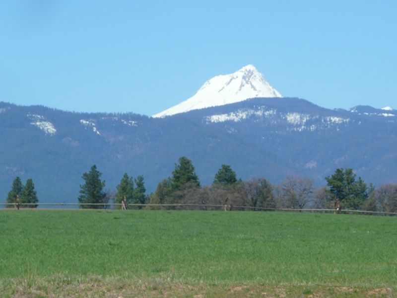 Pheasant Ridge Farm : Tygh Valley : Wasco County : Oregon