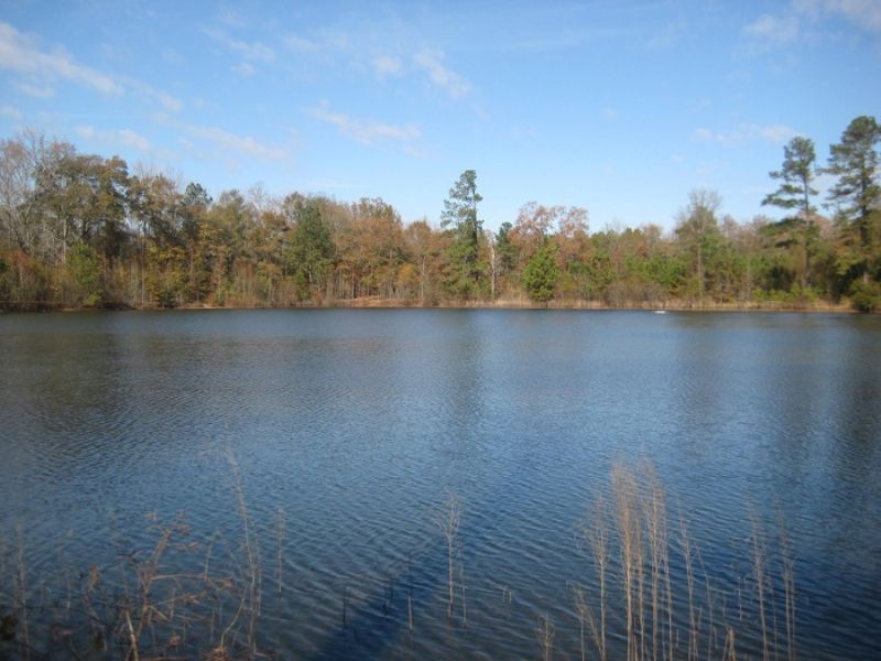Chapman Pond Tract - New Low Price : Gray : Jones County : Georgia
