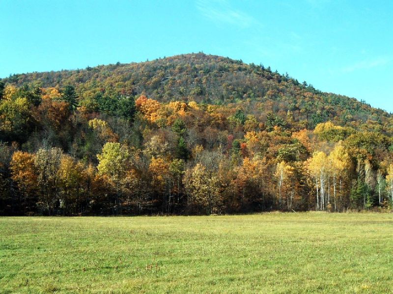 Miller Mountain Forest : Crown Point : Essex County : New York
