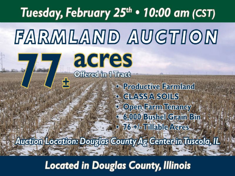 Farm Land Auction, +/- 77 Acres : Newman : Douglas County : Illinois