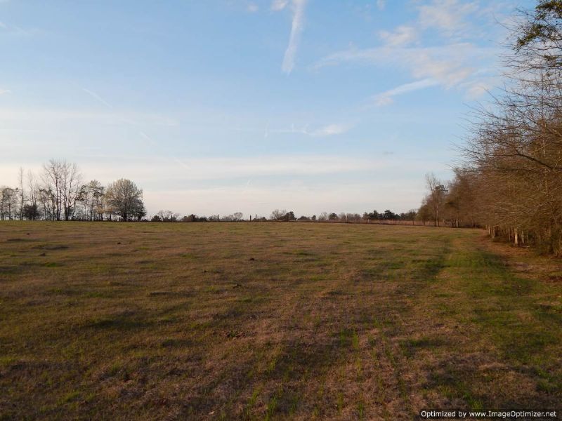 172 Acres Of Pasture Land : Poplarville : Pearl River County : Mississippi