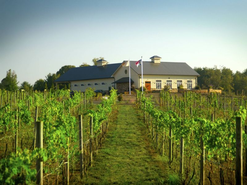 Vineyard / Winery for Sale : Shelby : Cleveland County : North Carolina