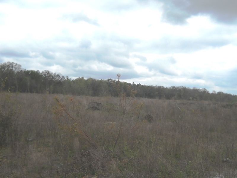 80 Acres with Paved Road Frontage : Live Oak : Suwannee County : Florida