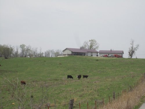 Dade County Ranch 10 Acres with Vie : South Greenfield : Dade County : Missouri