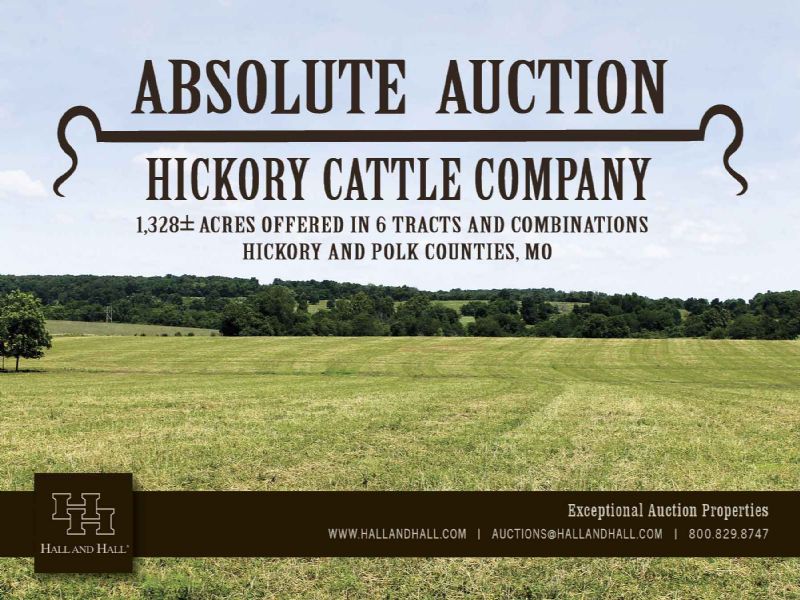 Hickory Cattle Company - Absolute : Weaubleau : Hickory County : Missouri