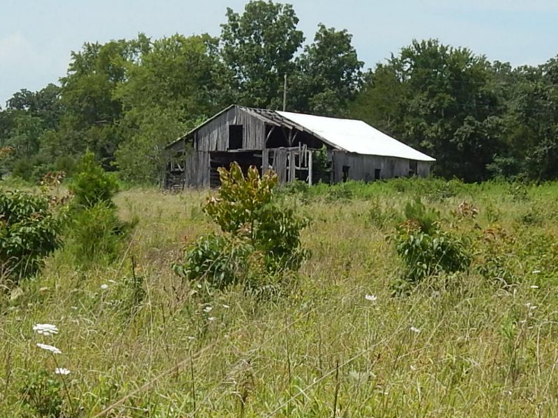 Home Site with Year Round Creek : Silva : Wayne County : Missouri