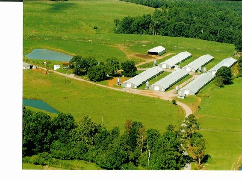 6 House Poultry Farm : Cullman : Cullman County : Alabama