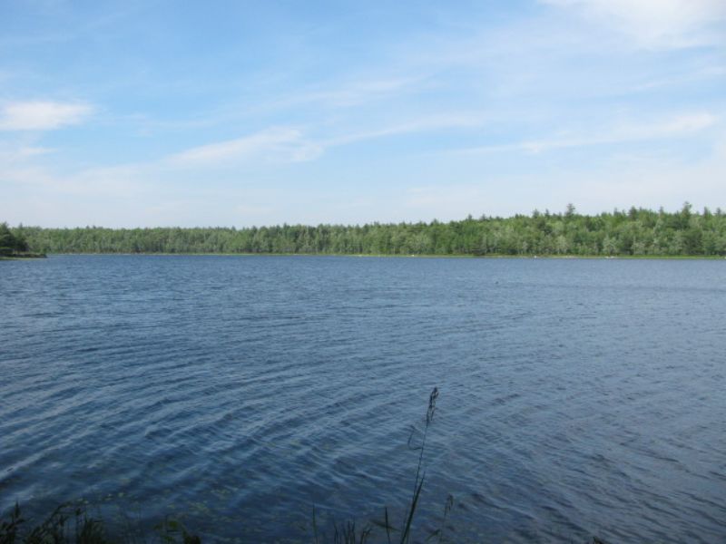 Thurston Pond Lot : Bucksport : Hancock County : Maine