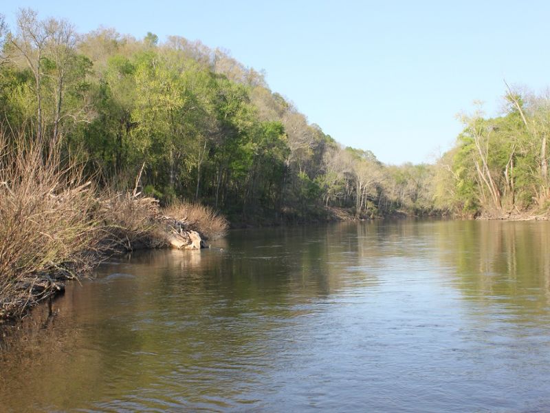 500 Acres Along The Duck River : Duck River : Hickman County : Tennessee