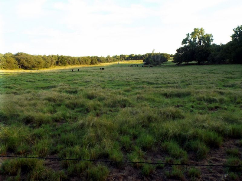 102± Acres Prime Hunting Land : Minco : Caddo County : Oklahoma
