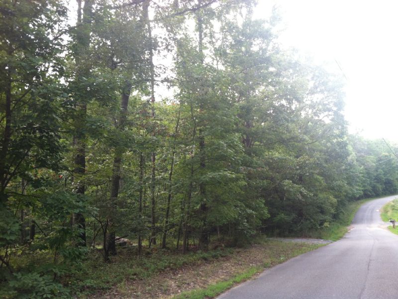 5.632+/- Wooded Acres Stoners Road : Adairsville : Bartow County : Georgia