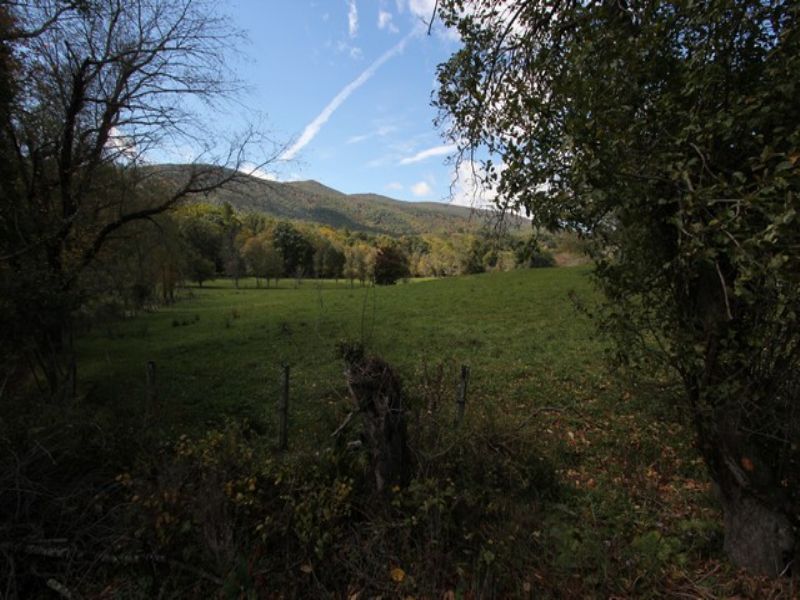 Prime Farmland and Pasture : Troutdale : Grayson County : Virginia
