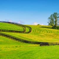 Farm Focused