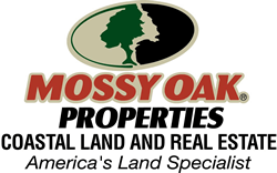 Terrell Brazell @ Mossy Oak Properties Coastal Land and Real Estate