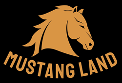 Larry Murrell @ Mustang Land LLC