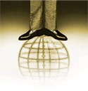 Ted Brogden : Terrain Marketing Brokers of the Carolinas