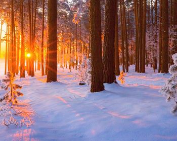 2023 Looks to Be Positive for Recreational Property Sales