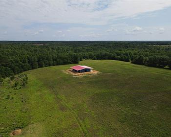 Excellent Farm with New Steel Building
