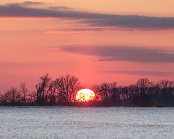 Exploring the Reasons Behind Foreign Interests Buying US Acreage