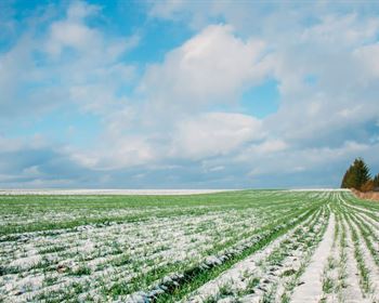 regenerative practicing invest agriculture farmflip ranchflip auctionflip commercialflip landflip