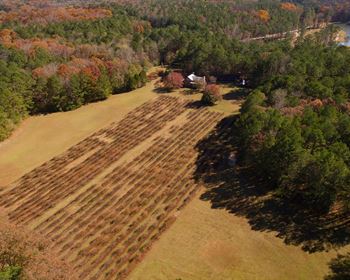 Iconic Vineyard Farm with Log Home