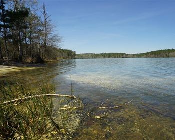 Large Acreage Hunting Offers Opportunity for Outdoor Enthusiasts