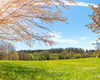 Navigating the Final Steps: Tips for a Successful Land Closing