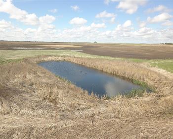 Productive Farmland with Recreational Value