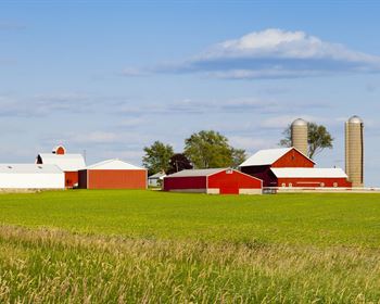 Pulse: Americans Prioritize Conservation, Forestry in Farm Bill 2023