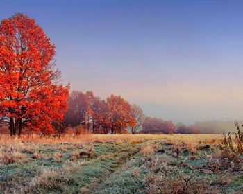 Pulse: Farms and Ranches Most Desirable Type of Land to Live On