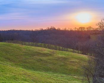 Pulse: Signs of a Brewing Land Bubble