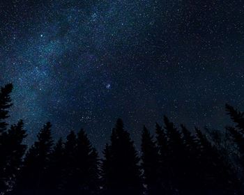 Pulse: Water Purifier Deemed An Off-Grid Living Essential