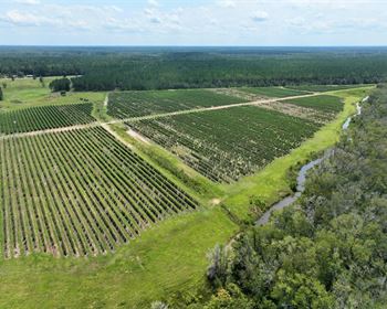 dahl hobby farm and orchard dahl hobby farm and orchard