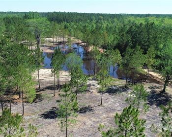 South Georgia Recreation Property with Two Ponds, Homesite