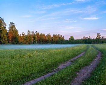 The Hidden Cost of Isolation: What Every Buyer Must Know About Off-Grid Land Access