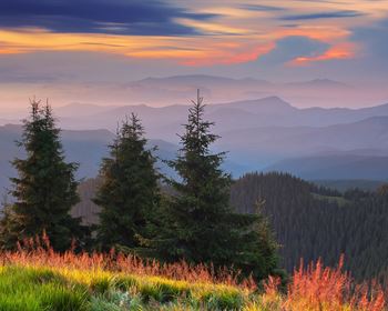 Things to Think About if You’re Financing a Land Purchase