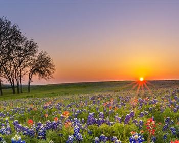 Unwritten Etiquette Rules When Searching for Rural Land