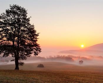 Use Creative Strategies to Find Good Land Deals