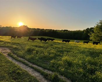 Versatile Property with Great Access and Homesites