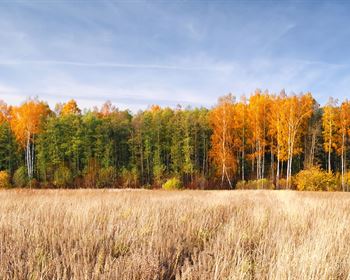 What Makes A Fair Deal for Rural Land?