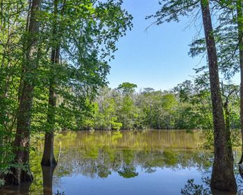 Your Riverfront Dream Starts Here