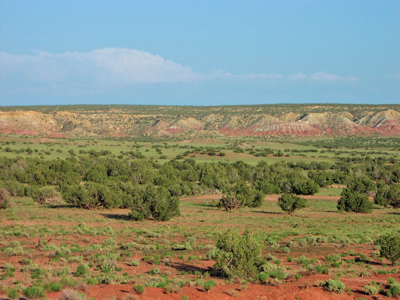 37 Acre Wilderness Ranch $206 Month : Saint Johns : Apache County : Arizona