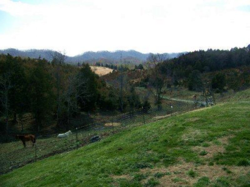 13 Acre Minifarm, Farm for Sale in Tennessee, 100045 FARMFLIP