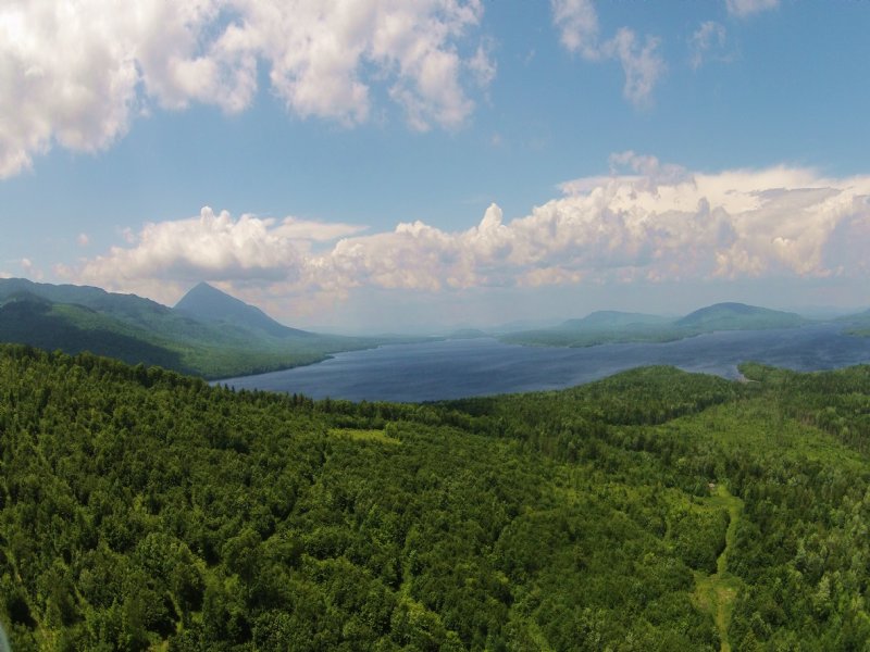 Jerome Brook Forest : Cambridge : Somerset County : Maine